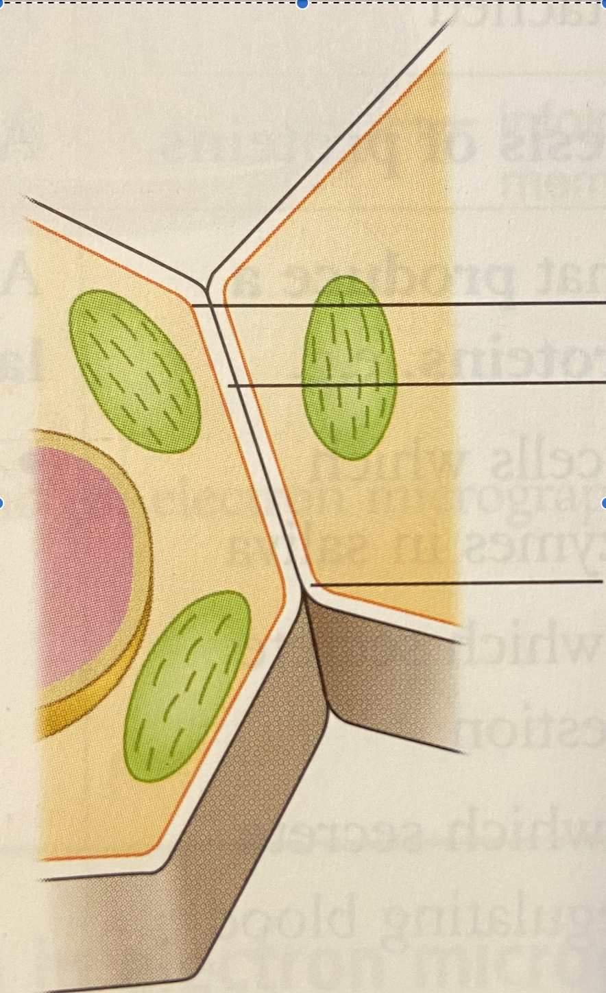 <p>answer all three from top to bottom </p>