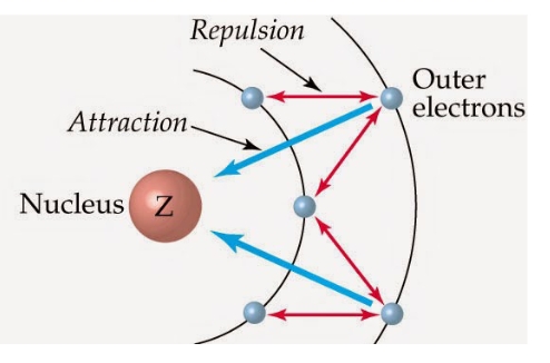 <p>while the number of protons Z dictates nuclear charge, electrons can effectively block or shield other electrons from feeling the nucleus by exerting repulsive forces on the electron that competes with the attractive force between the nucleus and electron</p><p>0<Zeff<Z</p>