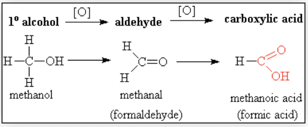 <ul><li><p>functional group bonded to primary carbon</p></li><li><p>steps:</p><ul><li><p>forms aldehyde</p></li><li><p>forms carboxylic acid </p></li></ul></li></ul>