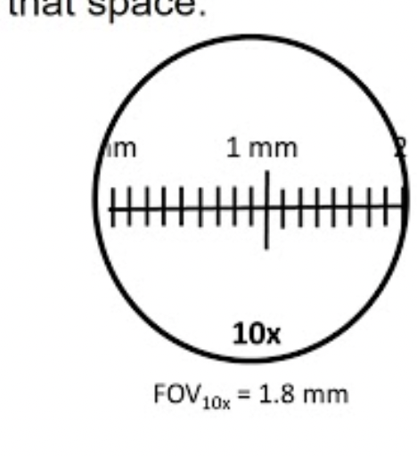 <p><strong>Object Size = Field of View Diameter </strong></p><p><strong><span>÷divided by ÷ </span>Number of Objects (Fit Number)</strong>.</p>