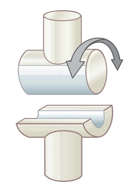 <p>Name and describe the following joint: </p>