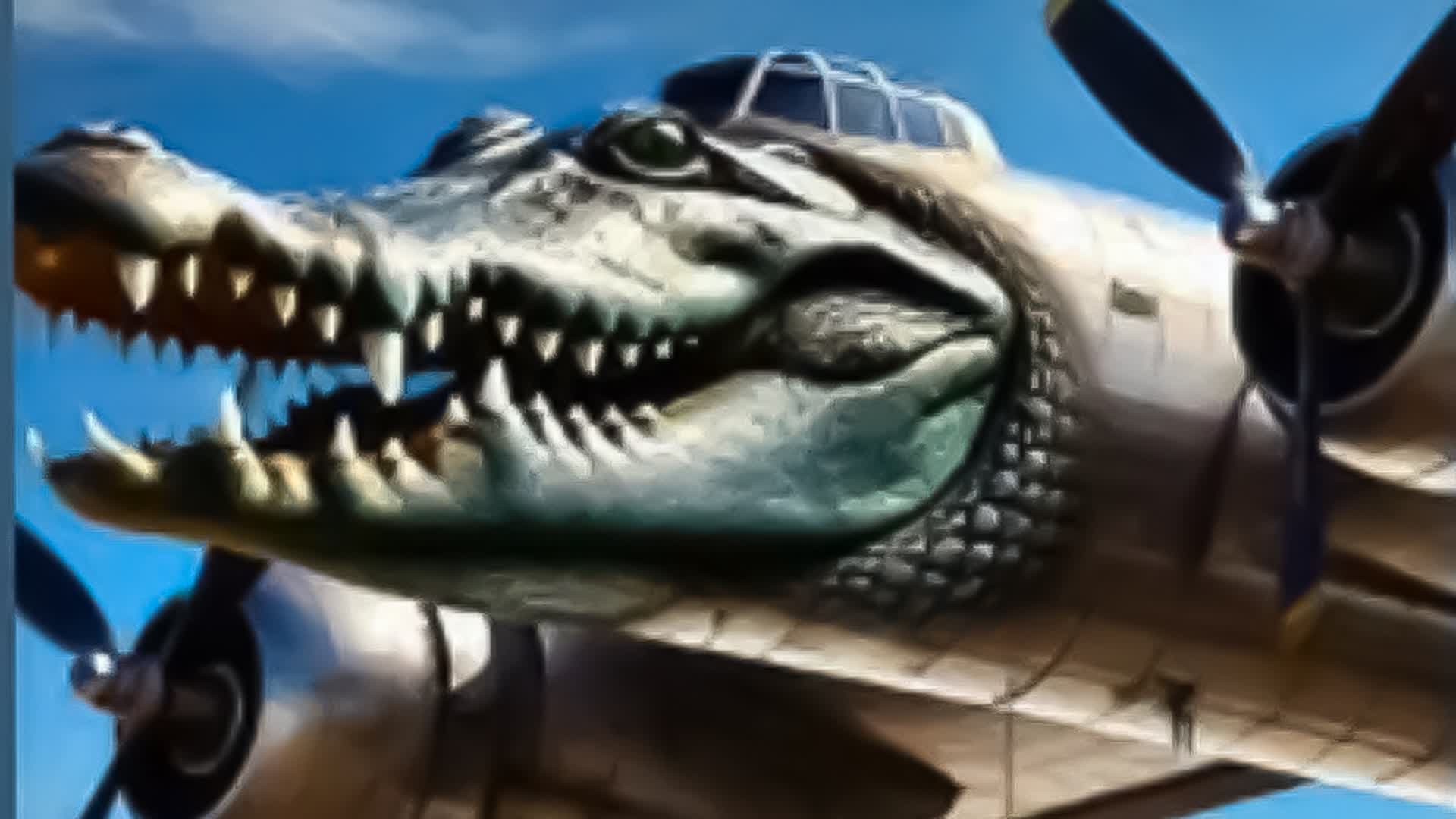 term image