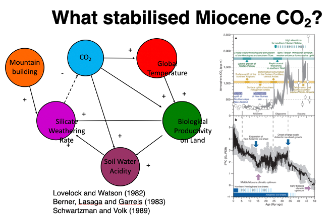 <p>If co2 drops too low then the majority of (‘C3’) plants cannot photosynthesise</p><p class="MsoListParagraphCxSpMiddle">At 200-250ppm co2 during the Miocene upland vegetation was near co2 starvation</p><p class="MsoListParagraphCxSpLast">Pagani et al (2009) argues this limited the effect of plants on weathering, holding co2 stable</p>