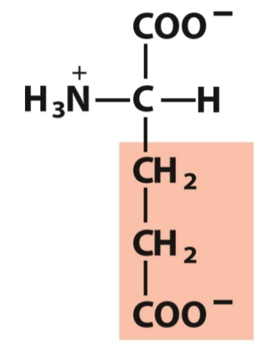 <p>Polar, negative</p>