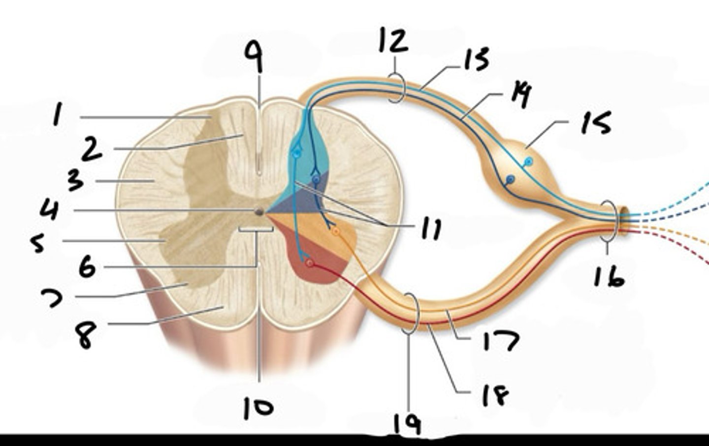 <p>2</p>