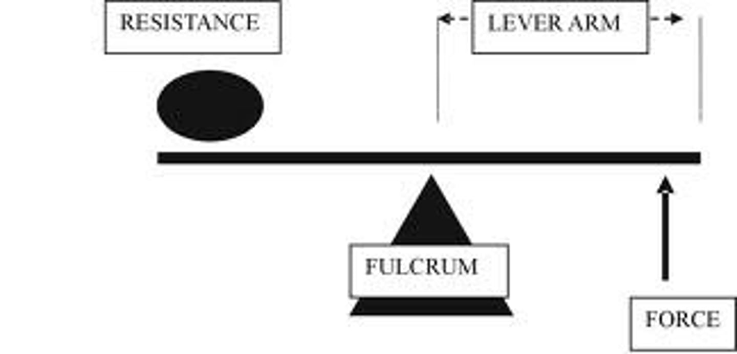 <p>distance between the applied force and the fulcrum</p>