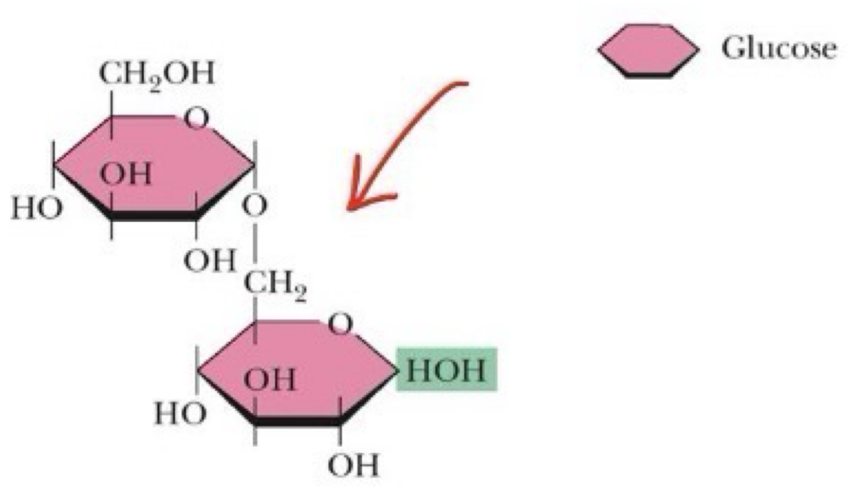 <p>Identify the type of glycosidic bond shown here.</p>
