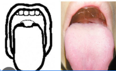 <p>classify</p>