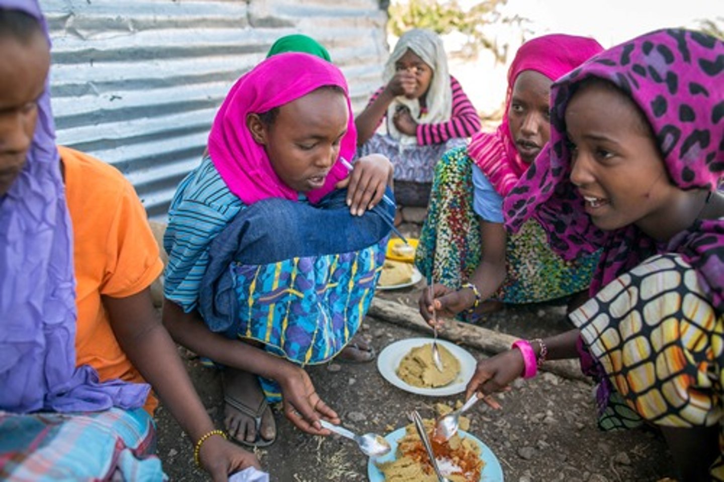 <p>(or uniform or homogeneous region) an area in which everyone shares in one or more distinctive characteristics</p>