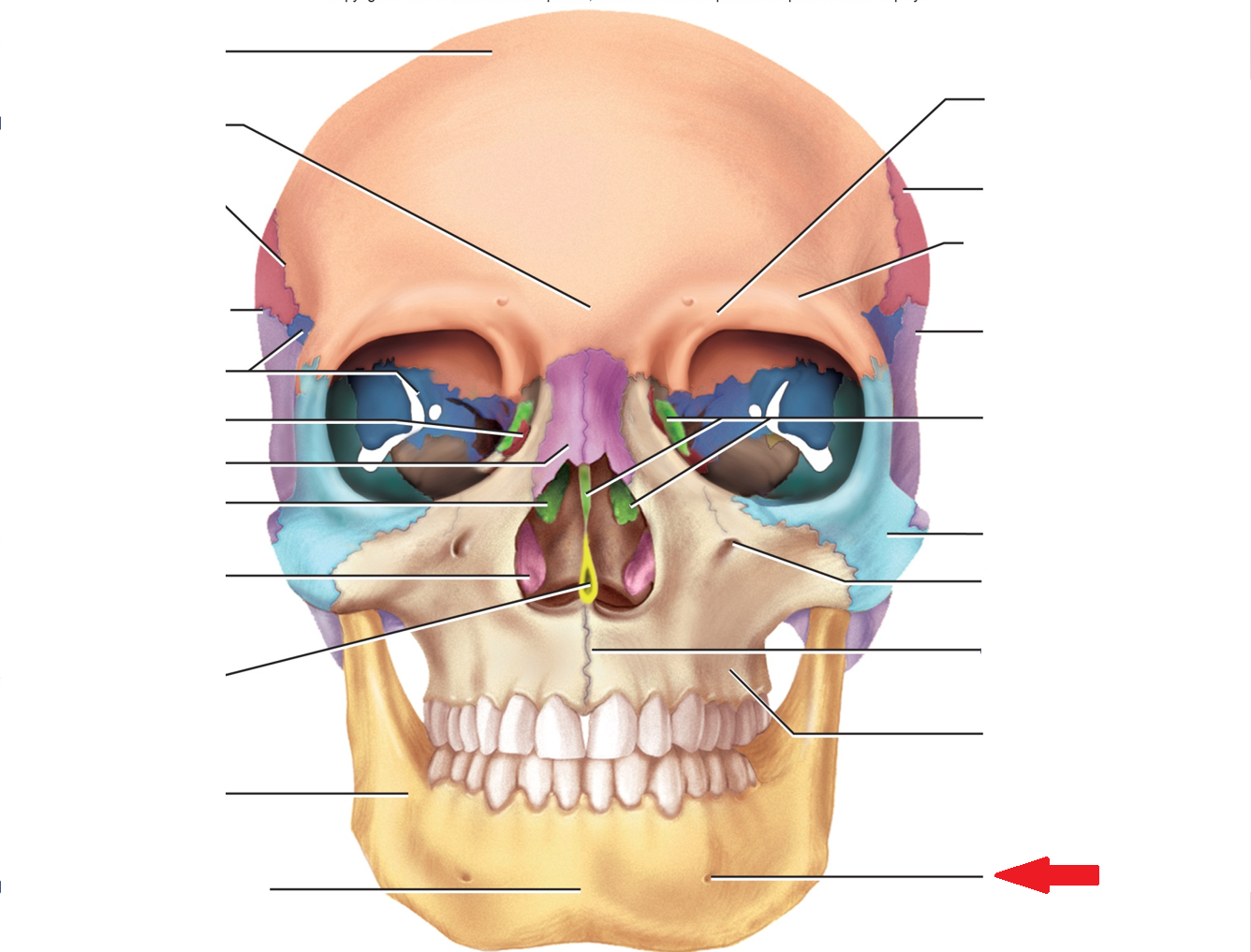 term image