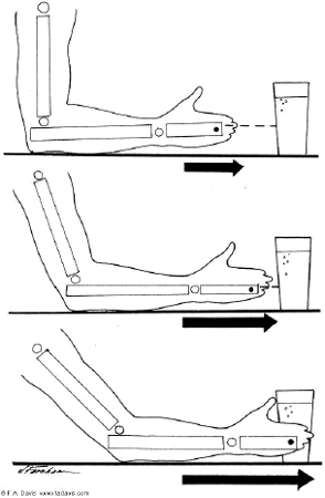 <p>This is an example of what type of motion?</p>