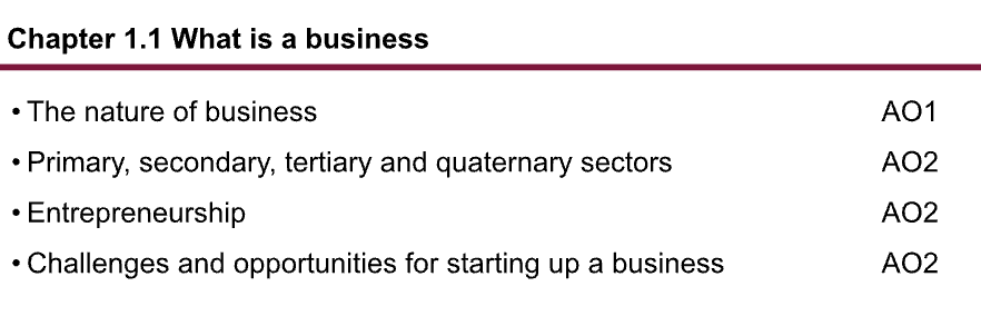 <p>1.1 What is a business?</p>