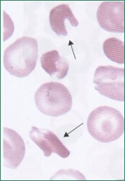 <p>What could this indicate?</p>
