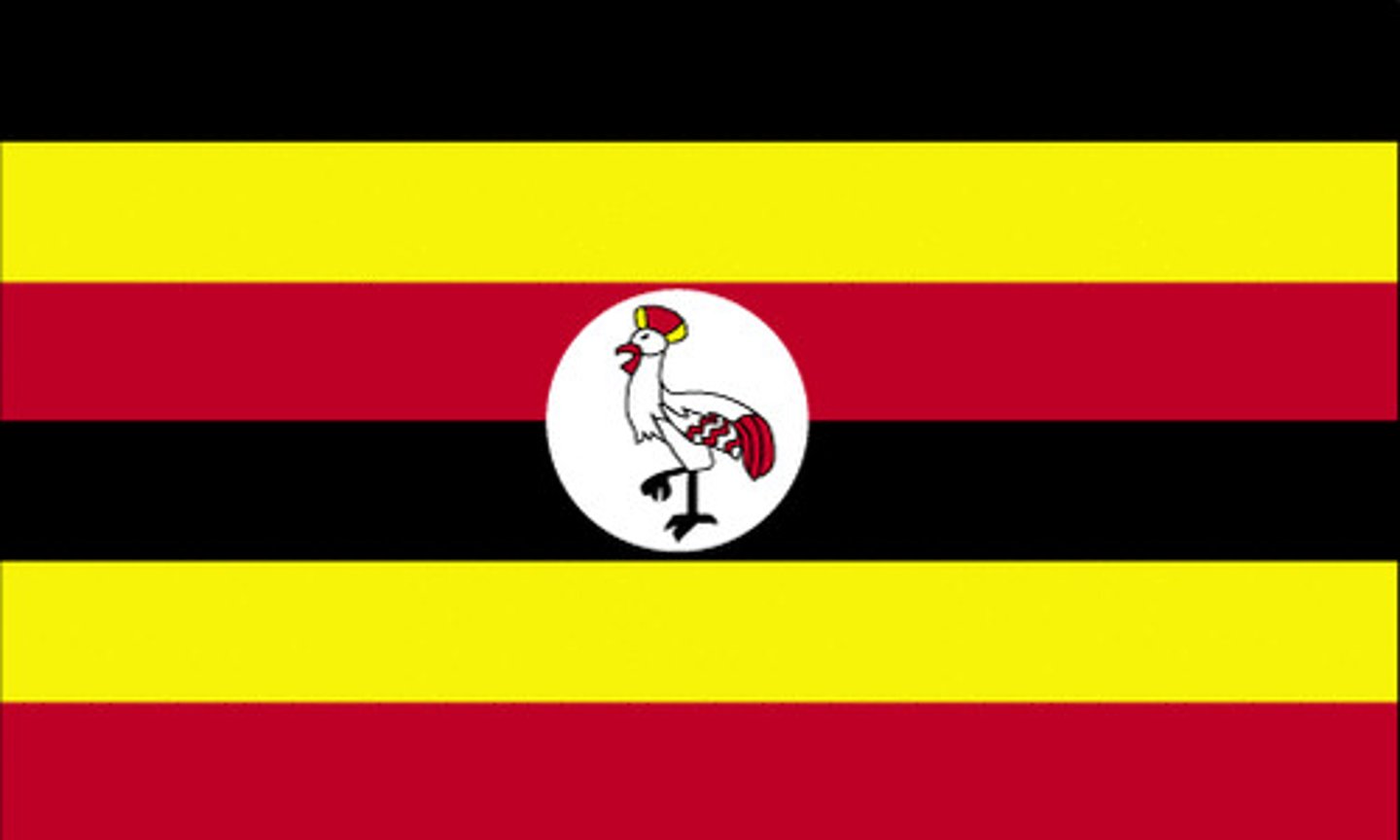 <p>as an Ugandan military officer who served as the President of Uganda from 1971 to 1979. Popularly known as the "Butcher of Uganda", he is considered one of the cruelest despots in world history; As Amin's rule progressed into the late 1970s, there was increased unrest against his persecution of certain ethnic groups and political dissidents, along with Uganda's very poor international standing due to Amin's support for the terrorist hijackers in Operation Entebbe; Amin's rule was characterized by rampant human rights abuses, political repression, ethnic persecution, extrajudicial killings, nepotism, corruption, and gross economic mismanagement.</p>