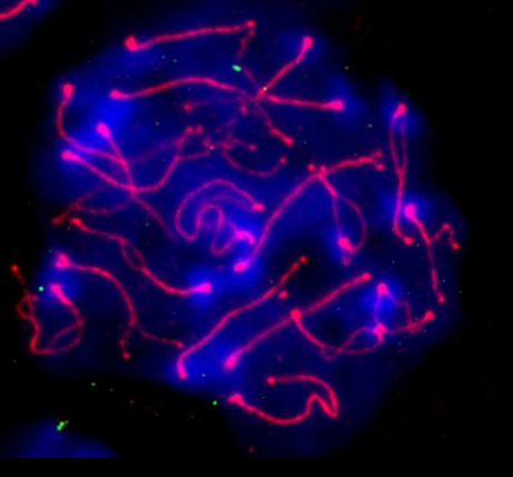 <p>bespreek wat we hier zien</p>