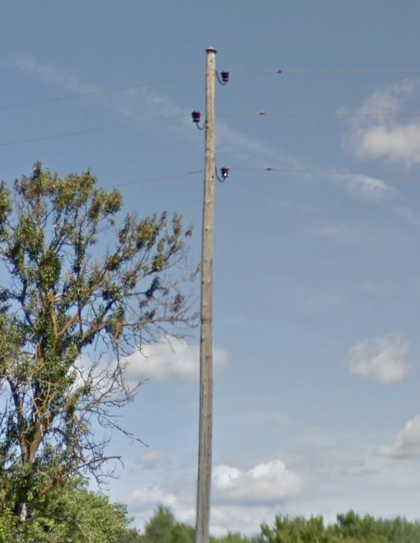 <p>Unique to only this country, Pinecone looking things that hang upside down on telephone poles</p>