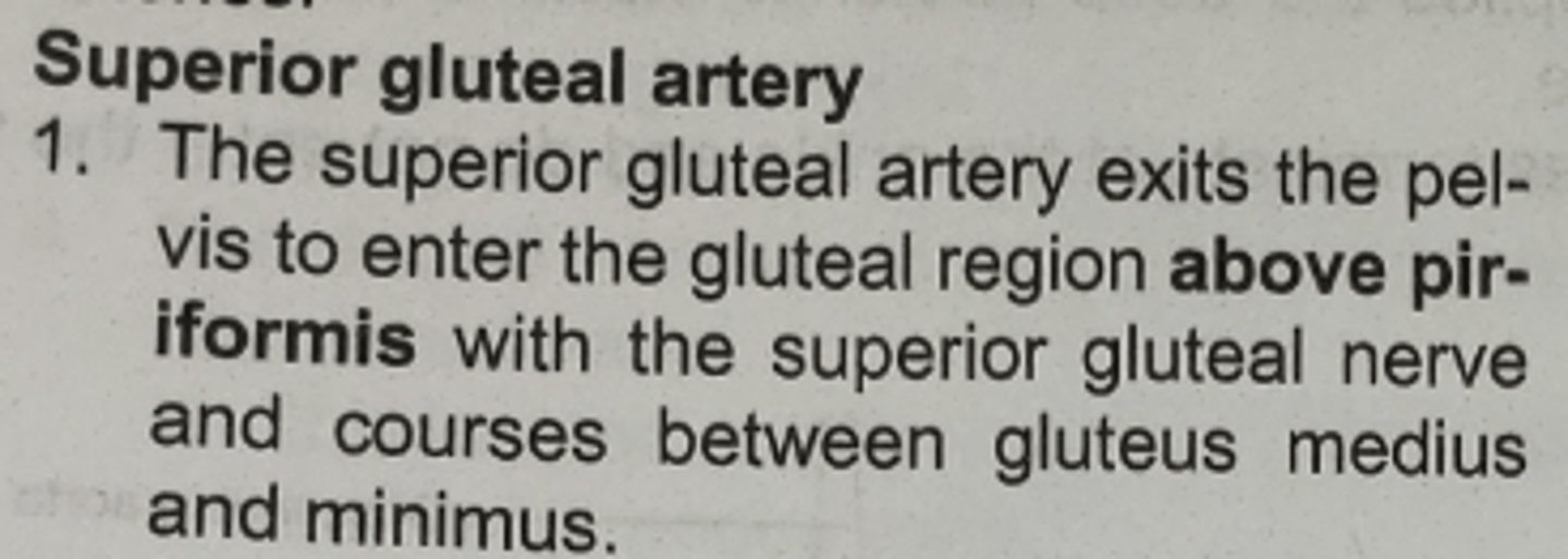 <p>gluteus medius and minimus</p>