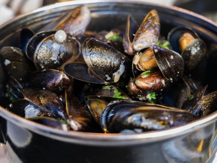 <p>mussels</p>