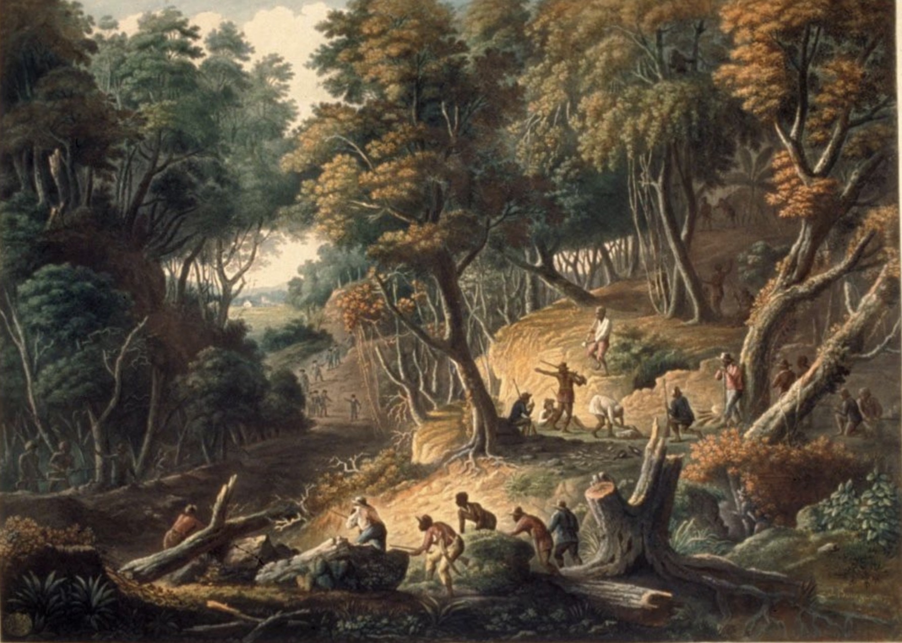 <p>#36 The Maroons in Ambush on the Dromilly Estate in the Parish of Trelawney Jamaica by J. Bourgoin and J. Mergiot, 1801</p>