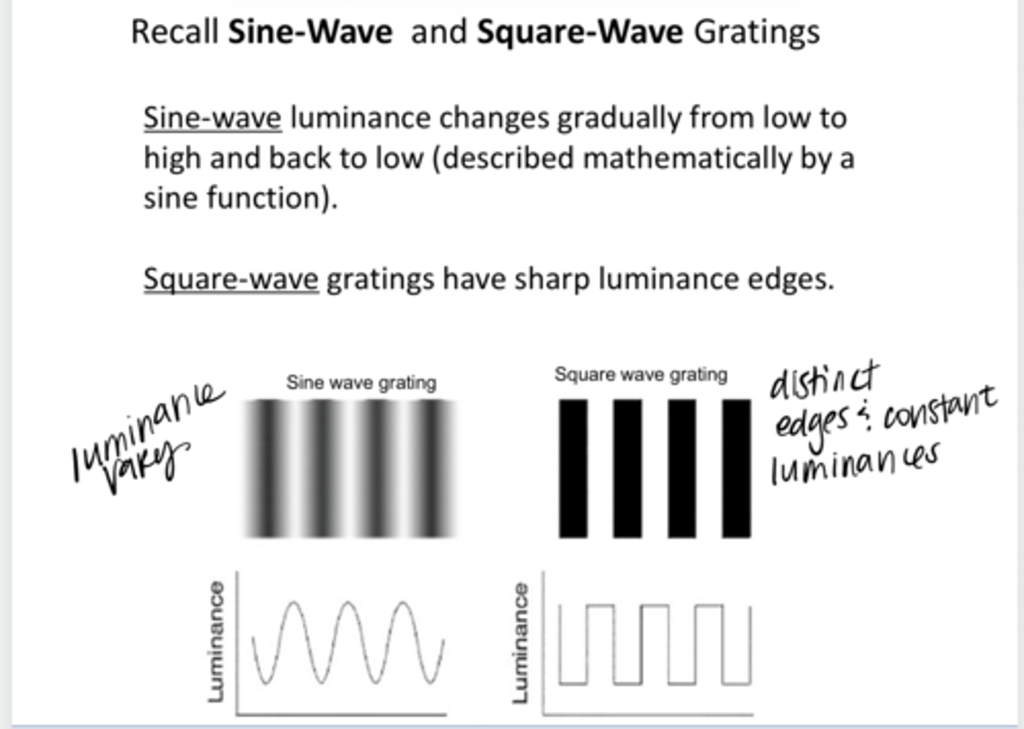 <p>REVIEW: Describe the luminance of a sine-wave grating</p>