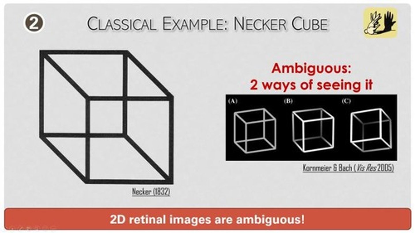 <p>The Necker cube, which illustrates how perception can infer contours that do not exist.</p>