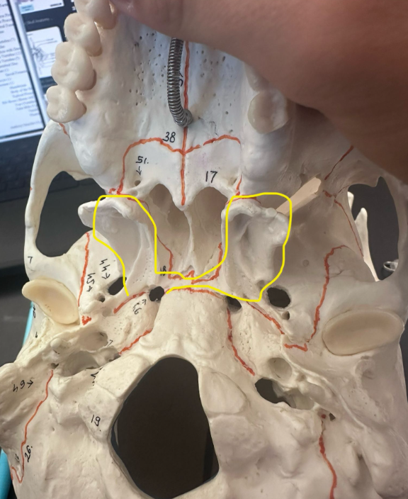 <p>What is circled in yellow? Or labeled as 18?</p>