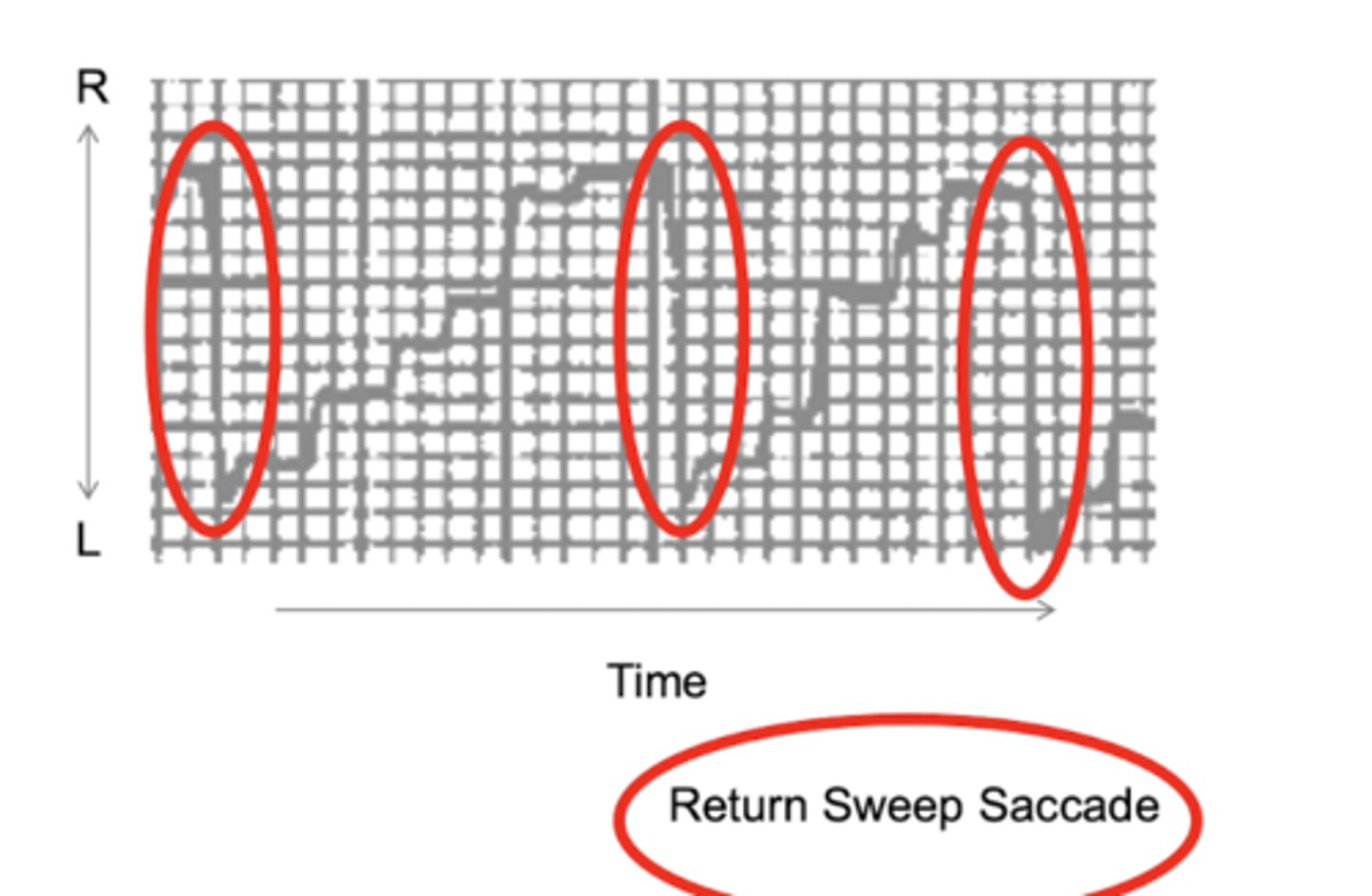 <p>large right to left saccadic eye movement that shifts eyes from near the end of one line to near the beginning of the next line</p>