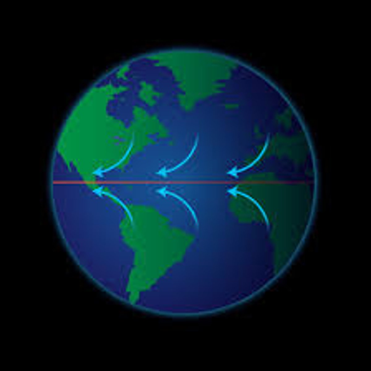 <p>winds that blow from the horse latitudes toward the equator</p>