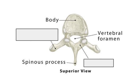 <p>Name the covered landmark</p>