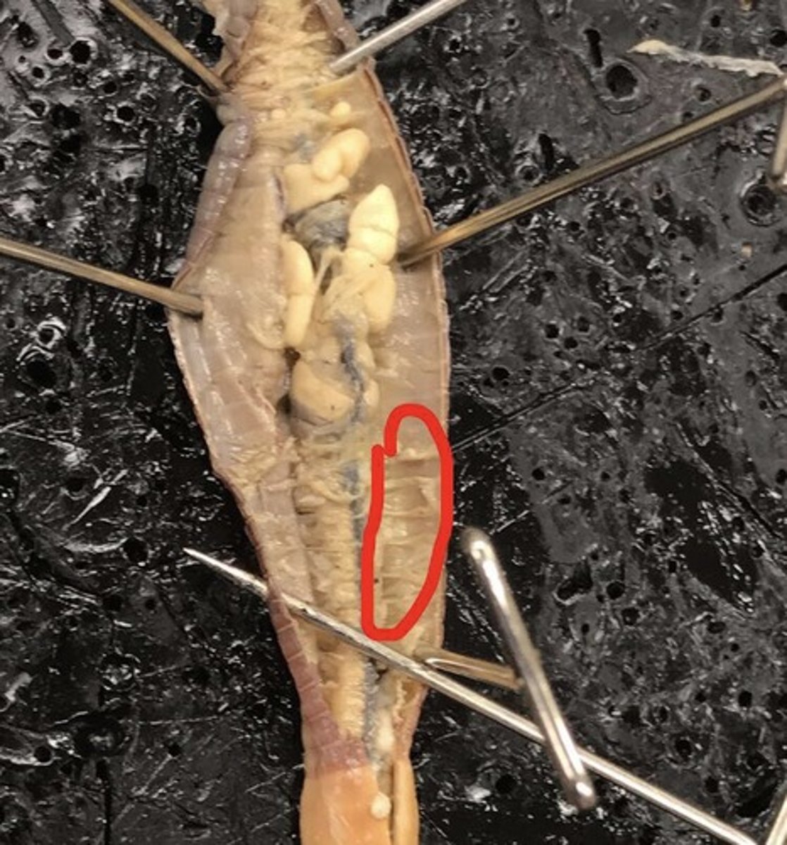 <p>What is this photo pointing to?</p>