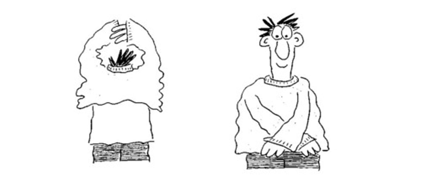 <p>надевать</p>