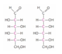 <p>these two monosaccharides can be best described as… (ch7)</p>