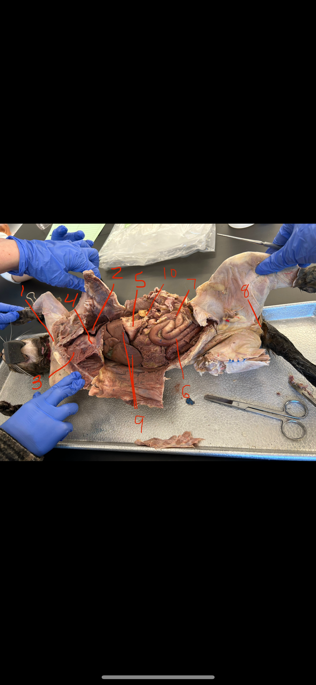 <p>What is this? 7</p>