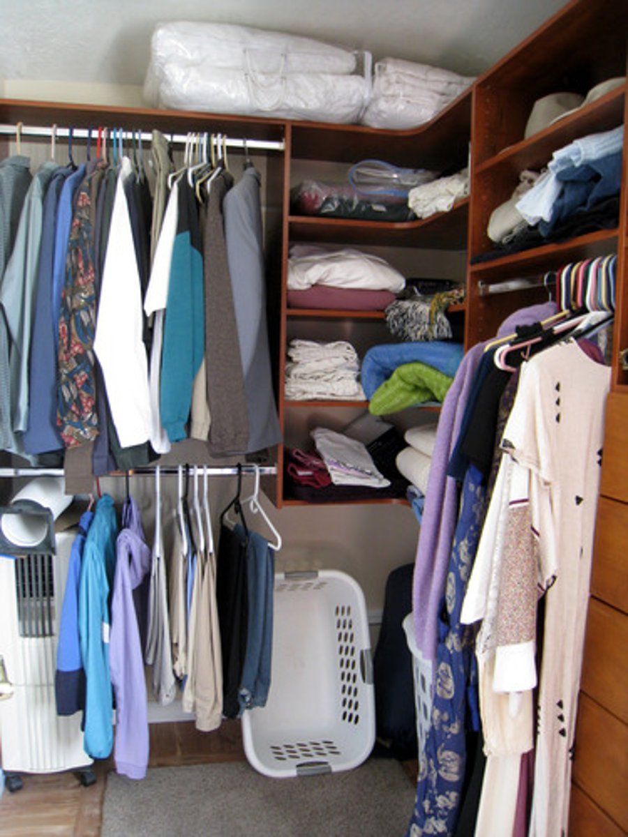 <p>the closet</p>
