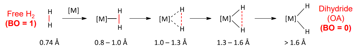 <ul><li><p>pi back donation leads to reduction of H2 bond order</p></li><li><p>complete donation results in OA of H2</p></li></ul><p></p>