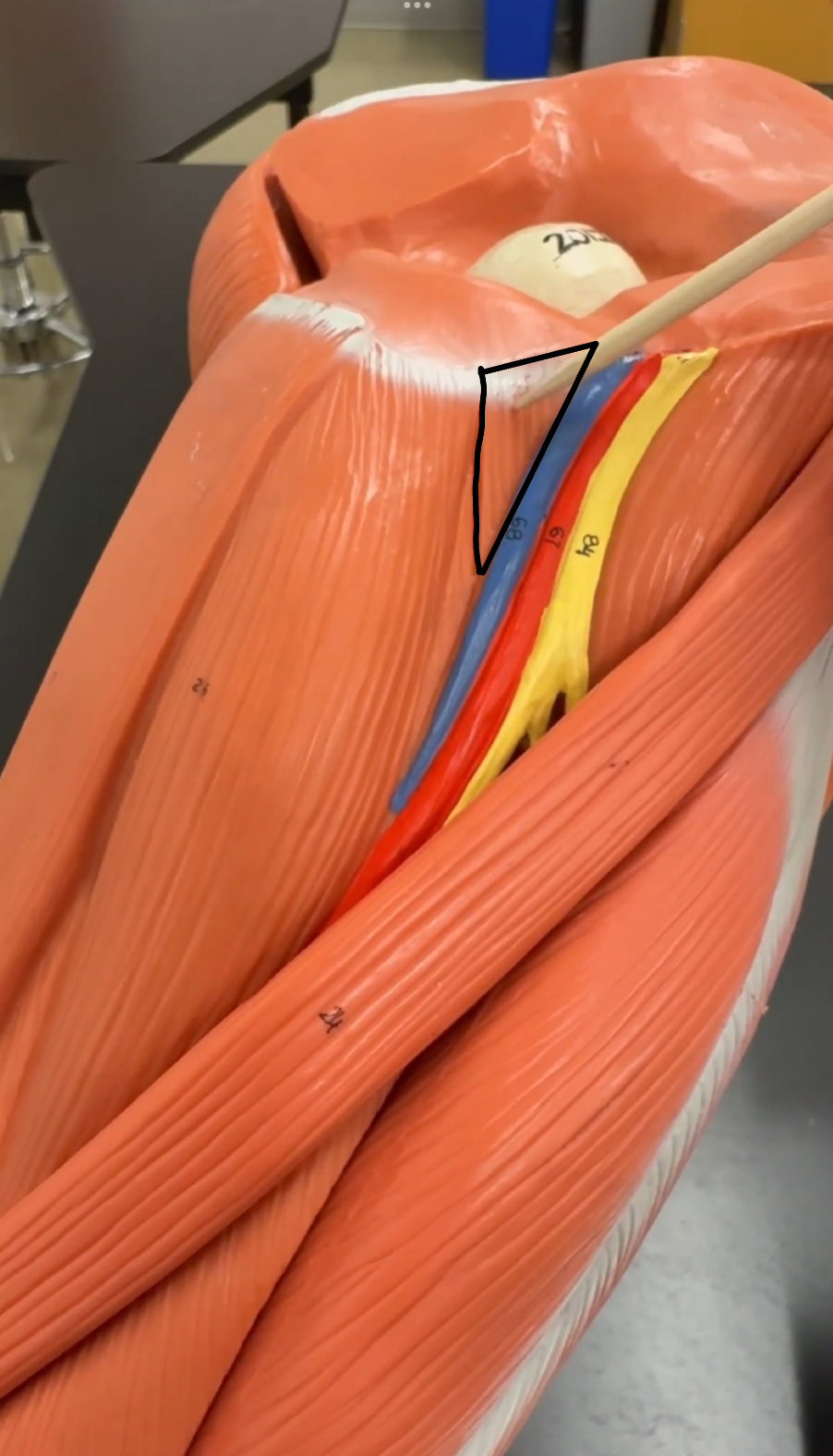 knowt flashcard image