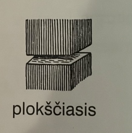 <p>Articulatio plana</p>