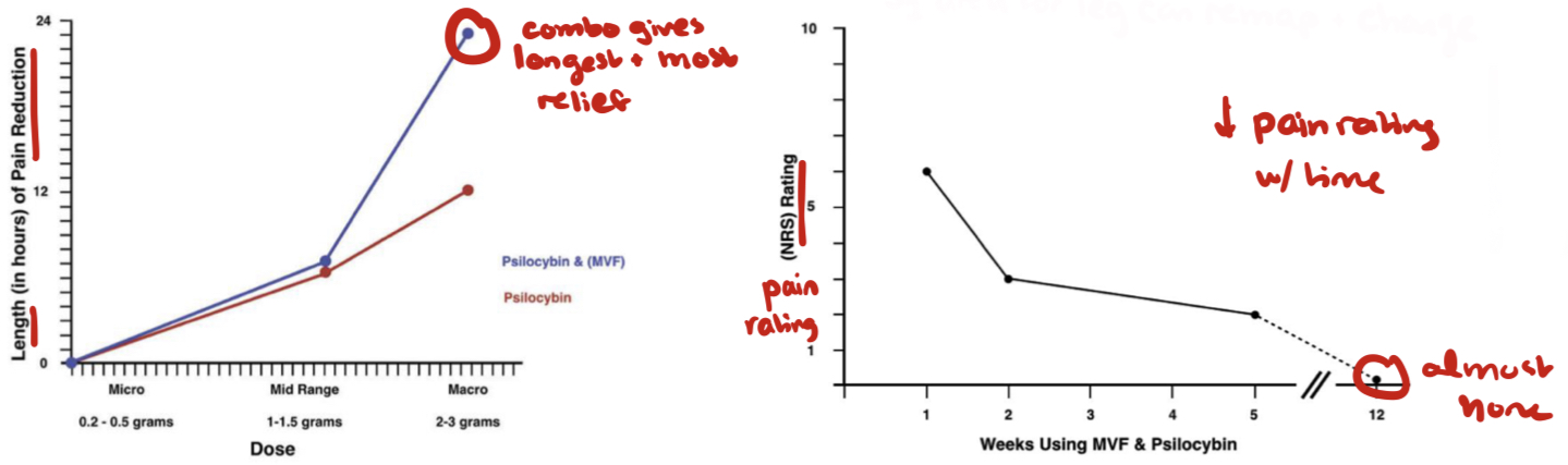 <ul><li><p>Pain medications were NOT effective</p></li><li><p>Mirror Visual Therapy (MVT) → temporary relief</p></li><li><p>Psilocybin → temporary relief</p><ul><li><p>Helps <span>↑ plasticity → S1 area of missing limb can remap over time </span></p></li></ul></li><li><p><strong>MVT + psilocybin → lasting relief from the pain</strong></p></li><li><p>AL felt<strong> less pain with time</strong></p></li></ul><p></p>