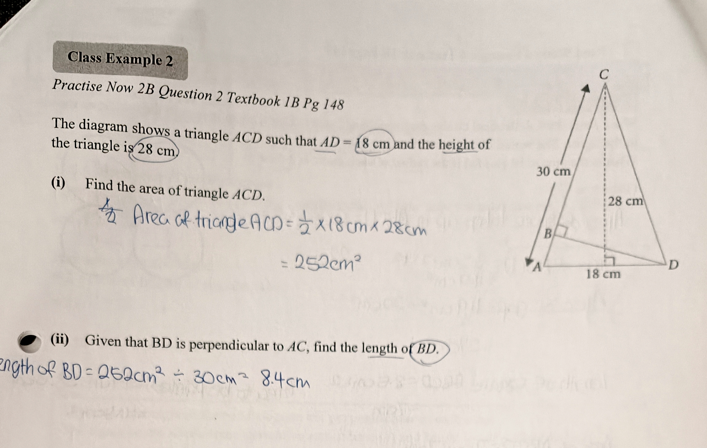 <p>qns: given that BD is perpendicular to AC, find the length of BD.</p>