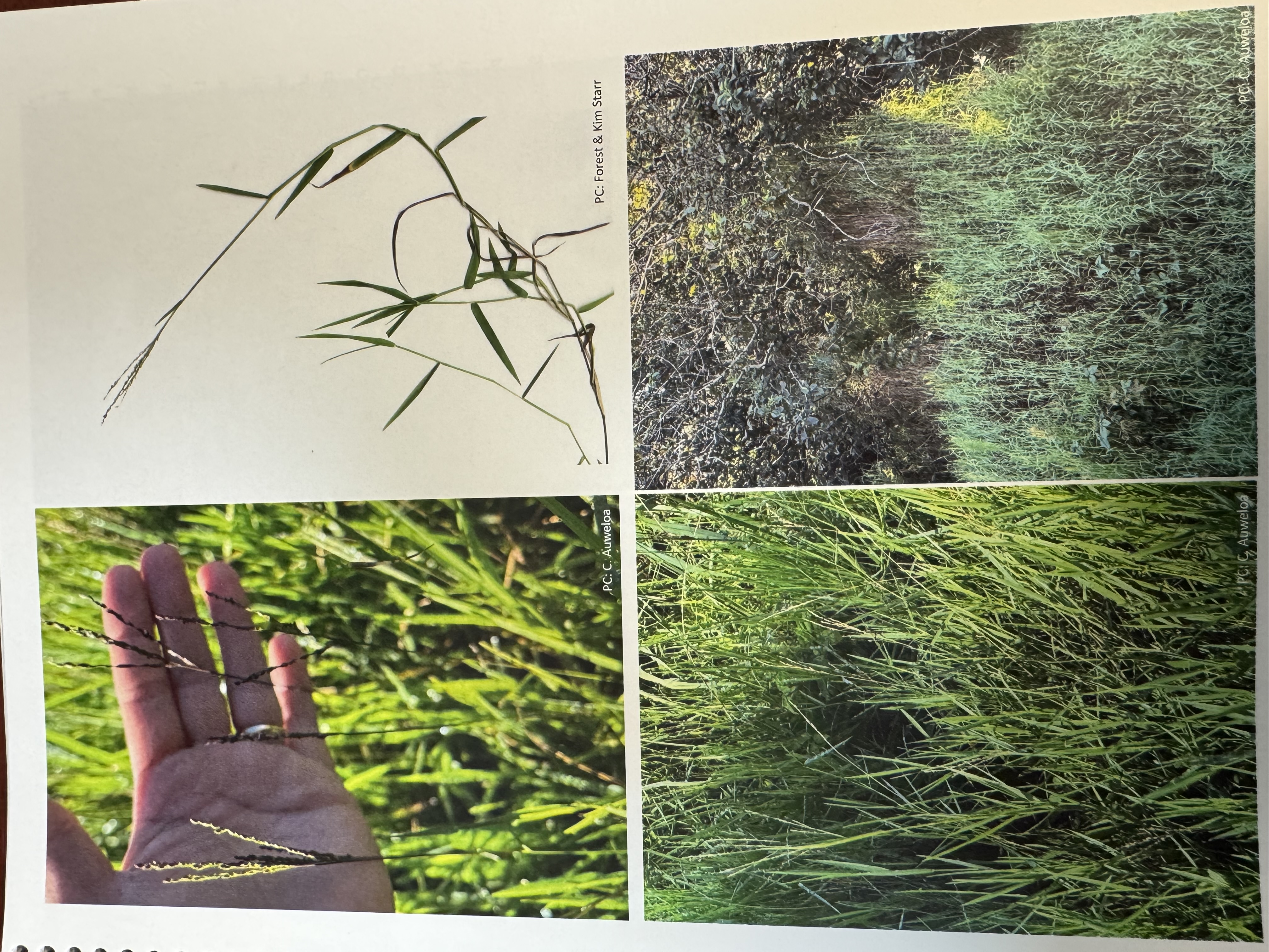 <img src="blob:null/2370f4fb-ba4a-4185-9b54-367bcf3e2f82"><p></p>