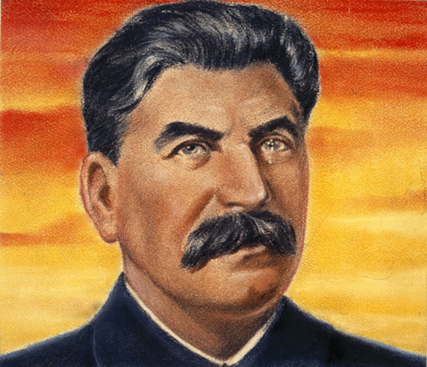 <p>a campaign of terror directed at eliminating anyone who threatened Stalin's power</p>