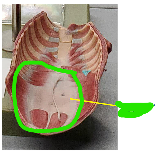 <p>function not required! </p>