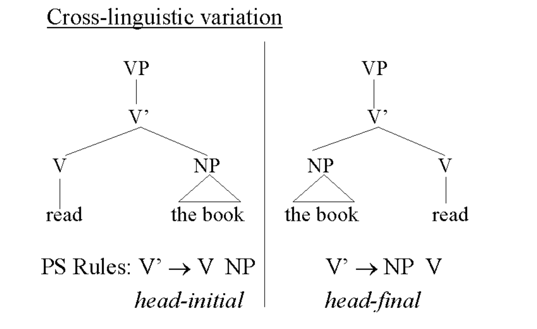 <p><span style="color: rgb(255, 255, 255);"><span>One thing that varies across languages is the order of elements within each rule</span></span><span style="color: rgb(255, 255, 255);"><br></span><span style="color: rgb(255, 255, 255);"><span>– Head-initial vs. head-final</span></span><span style="color: rgb(255, 255, 255);"><br></span><span style="color: rgb(255, 255, 255);"><span>– Only two possibilities!</span></span></p><ul><li><p><span style="color: rgb(255, 255, 255);"><span> Parameter setting involves figuring out which possibility is operating in your language</span></span></p><ul><li><p>English is head initial</p></li></ul></li></ul><p></p>