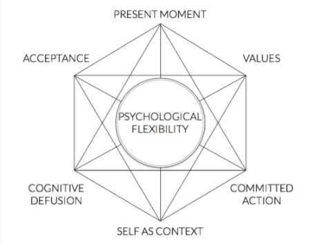 <p>seeks to promote psychological flexibility, where behavior aligns with values instead of emotions driving behavior</p>