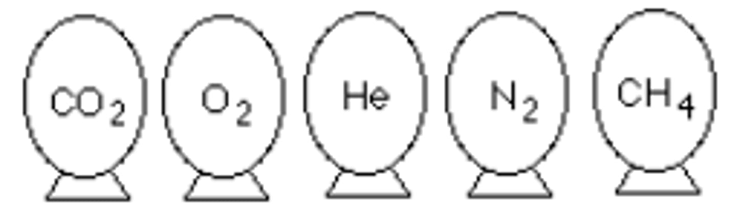 <p>CO2</p><p>3 multiple choice options</p>