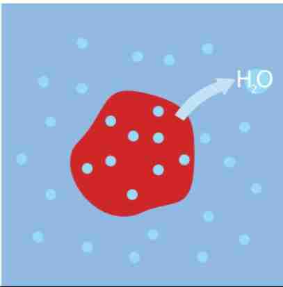 <ul><li><p>solute concentration is higher than that inside the cell</p></li><li><p>there's a net flow of water out of the cell</p></li></ul>