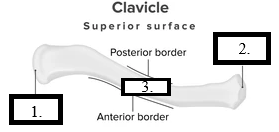 <p>Label 2</p>