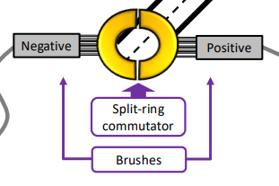 <p>Why would an electric motor built without a split ring commutator not do a full turn?</p>