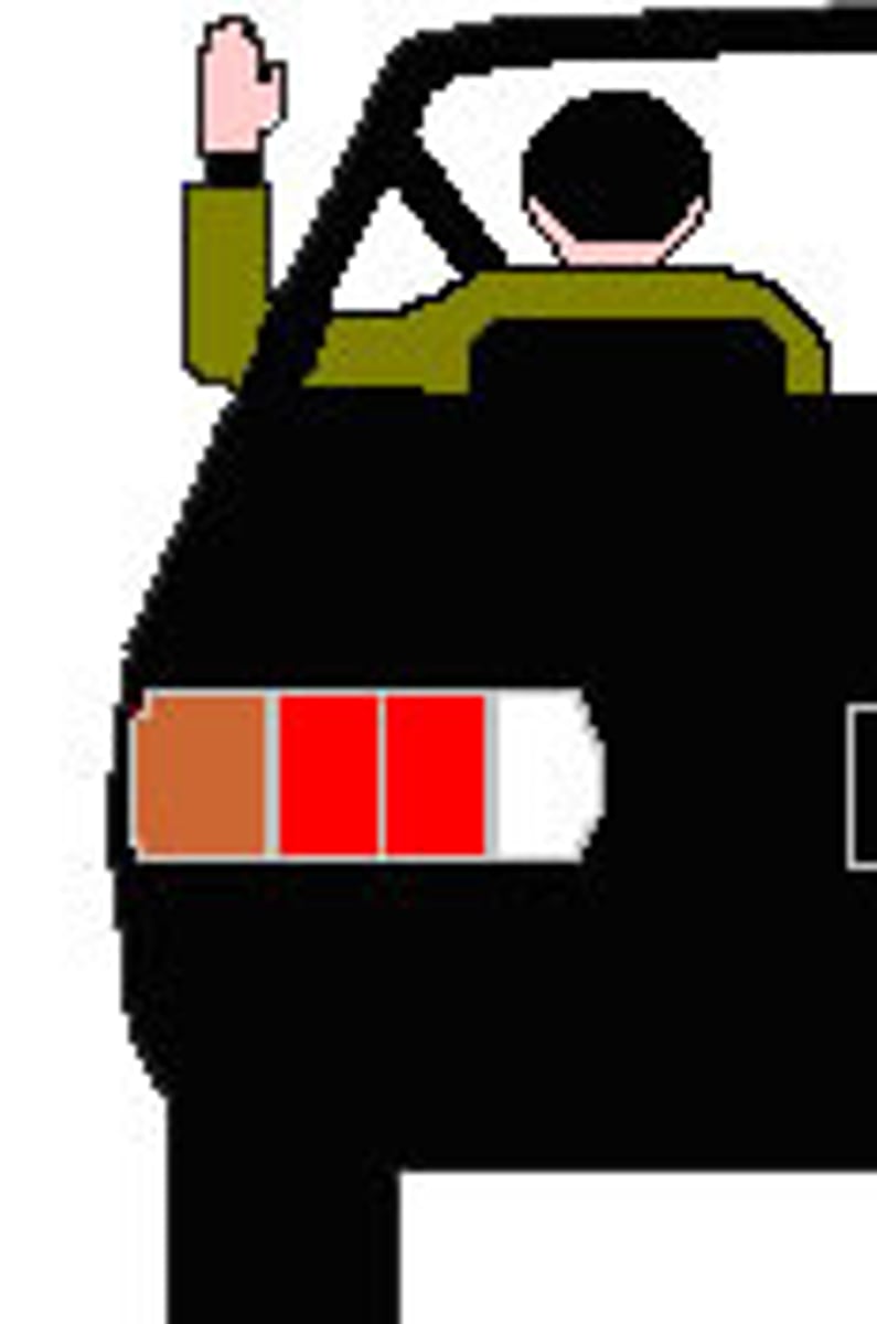 <p>this indicates the driver is:</p>