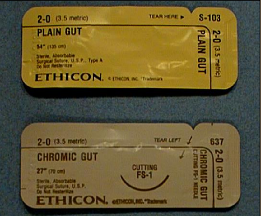 <ul><li><p>plain</p></li><li><p>chromic = coated so <strong>takes longer</strong> to be absorbed</p><ul><li><p>mild </p></li><li><p>medium </p></li><li><p>heavy</p></li></ul></li></ul><p></p>